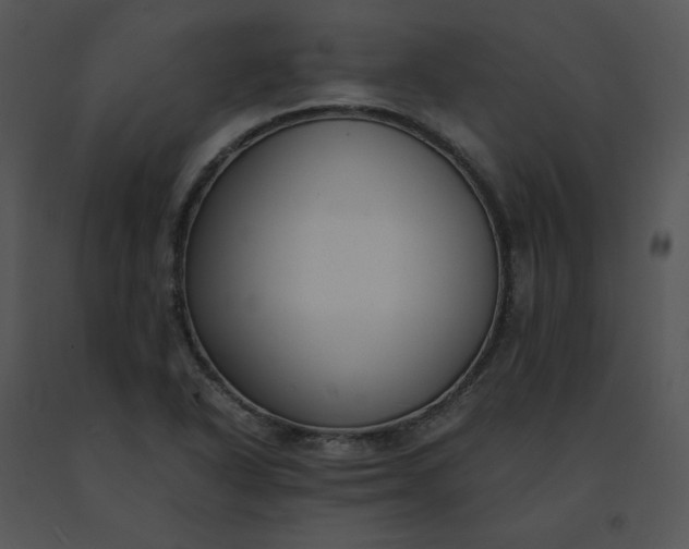 X0000091521318200708311240