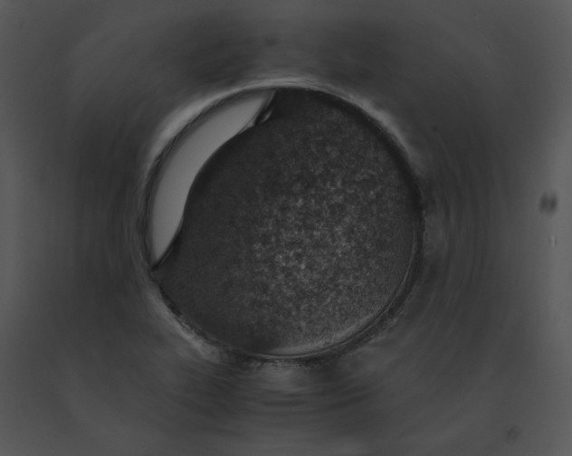 X0000091521319200708311240