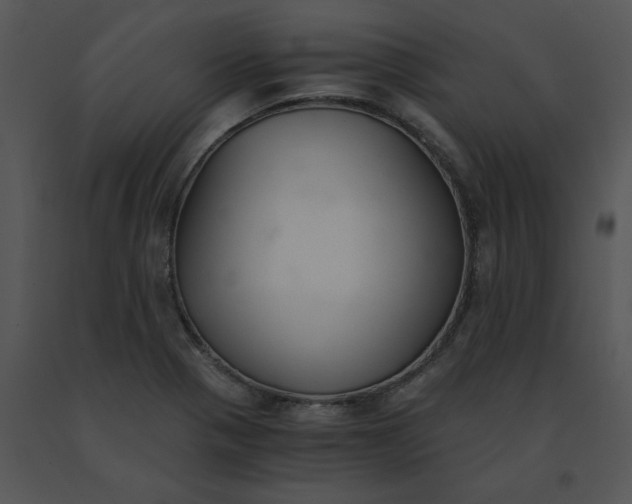 X0000091521321200708311240