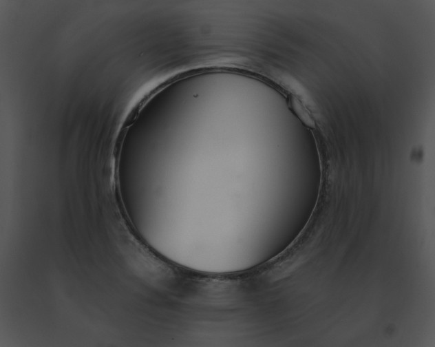 X0000091521324200708311240