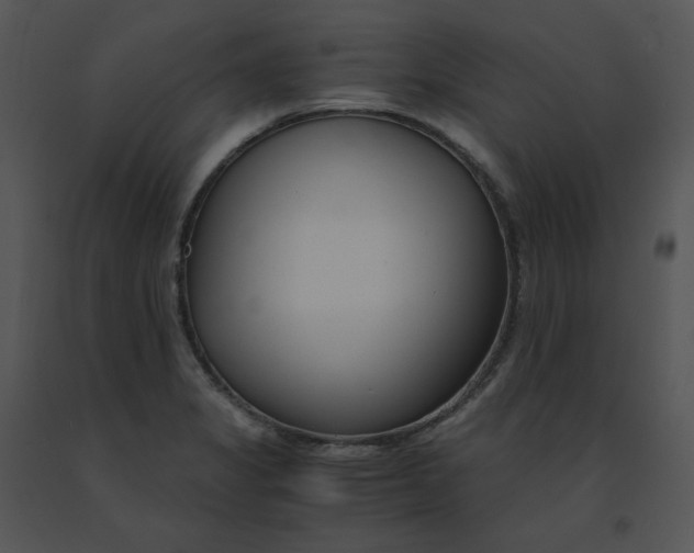 X0000091521325200708311240