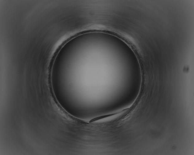X0000091521326200708311240