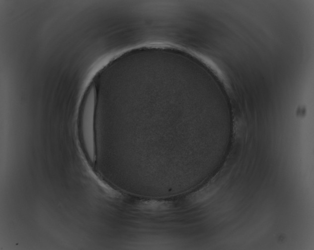 X0000091521327200708311240