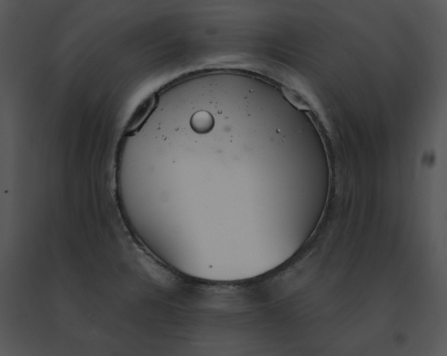 X0000091521328200708311240