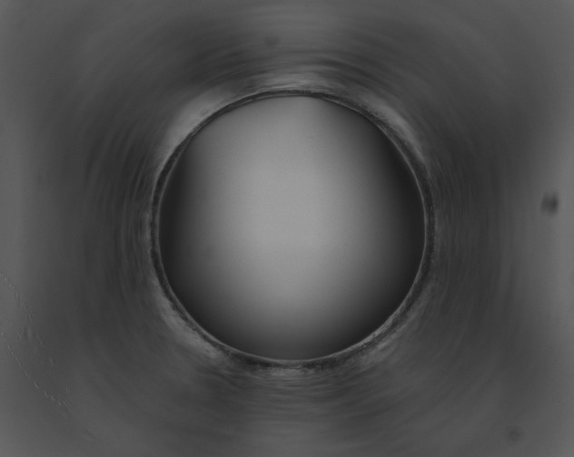 X0000091521330200708311240