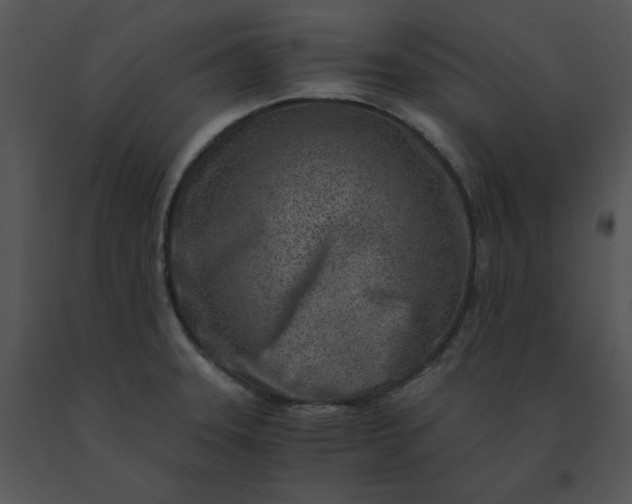 X0000091521331200708311240