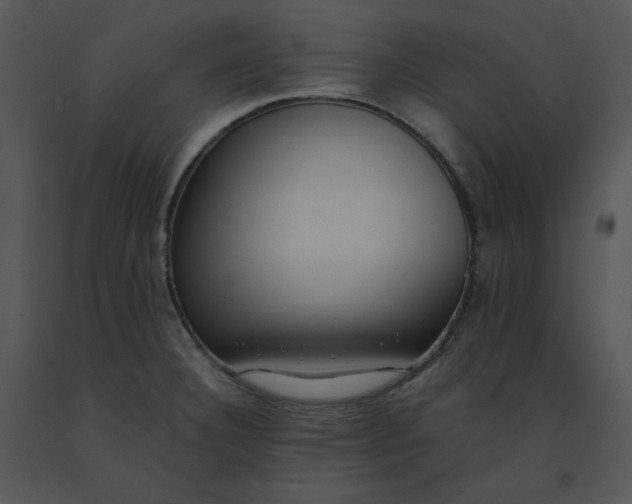X0000091521332200708311240