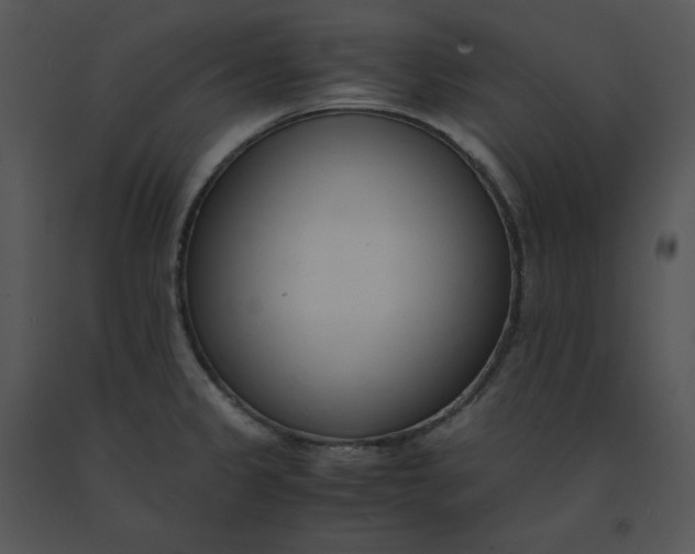 X0000091521333200708311240