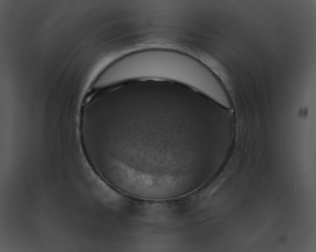 X0000091521334200708311240