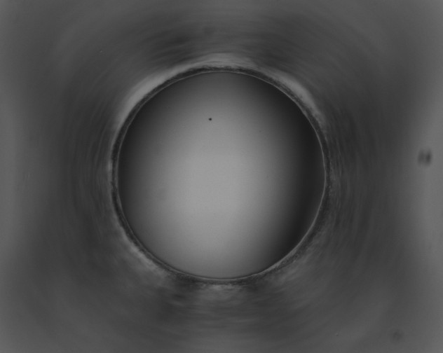 X0000091521335200708311240