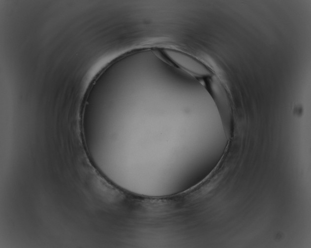 X0000091521336200708311240