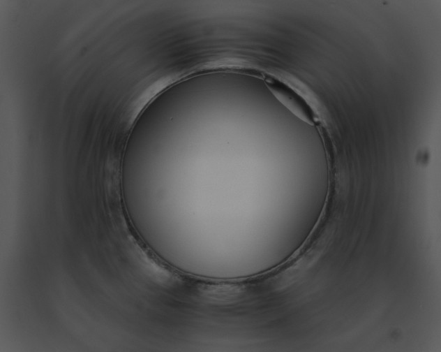 X0000091521337200708311240