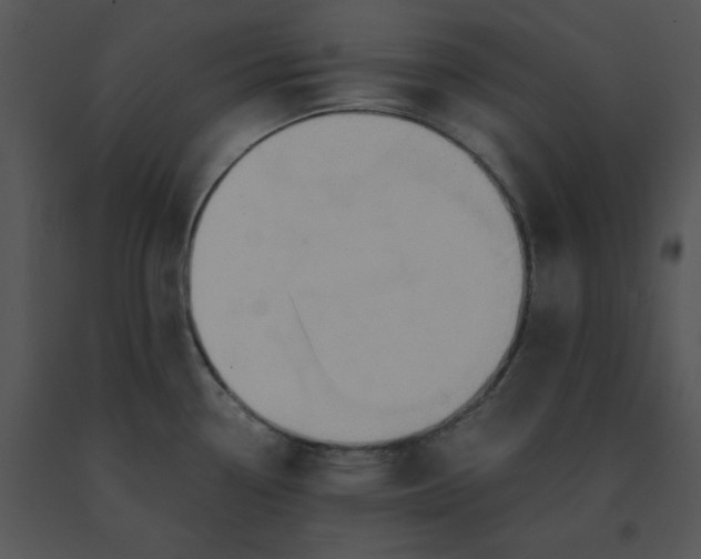 X0000091521338200708311240