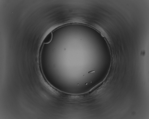 X0000091521339200708311240