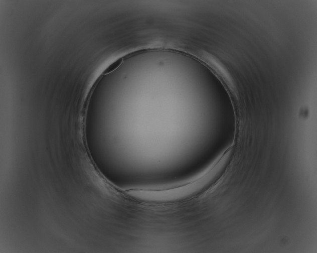 X0000091521340200708311240