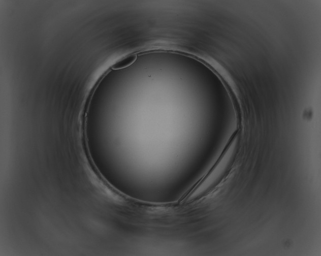 X0000091521341200708311240