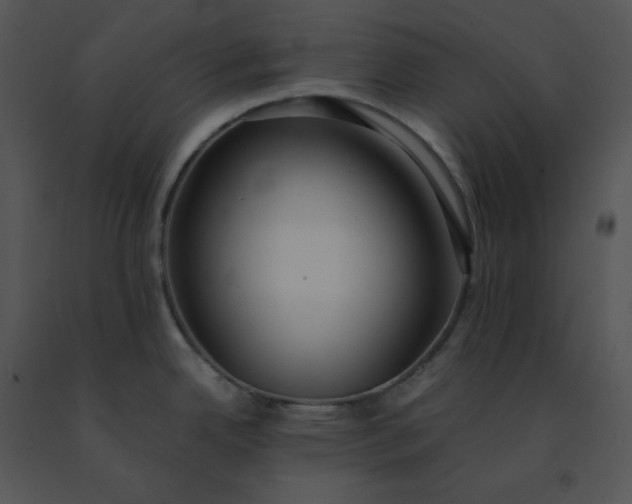 X0000091521342200708311240