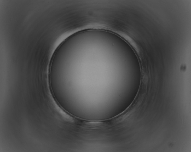 X0000091521343200708311240