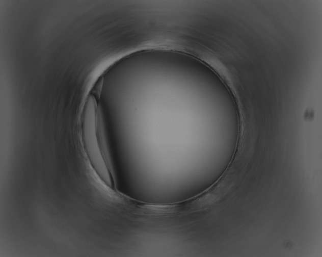 X0000091521344200708311240