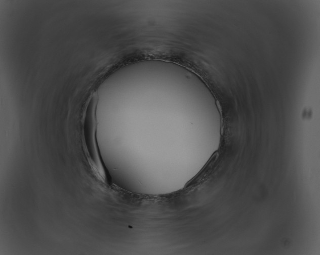 X0000091521345200708311239