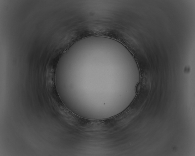 X0000091521346200708311239