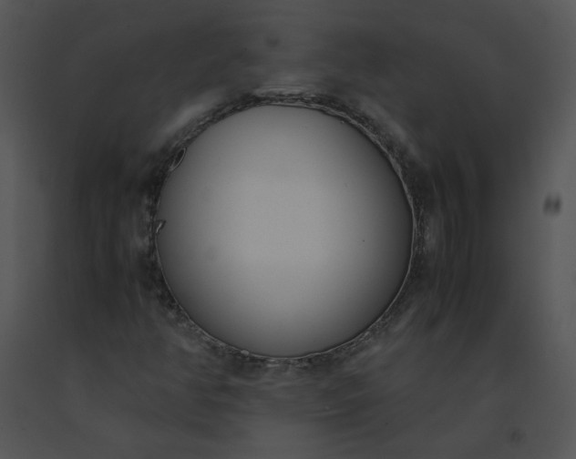X0000091521350200708311239