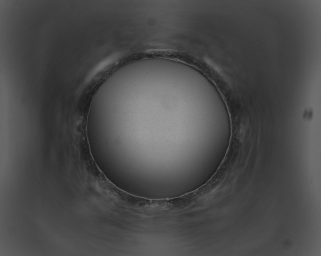 X0000091521351200708311239