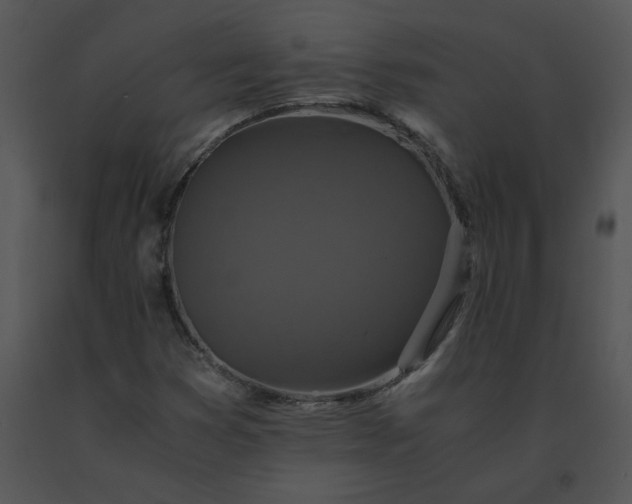 X0000091521353200708311239