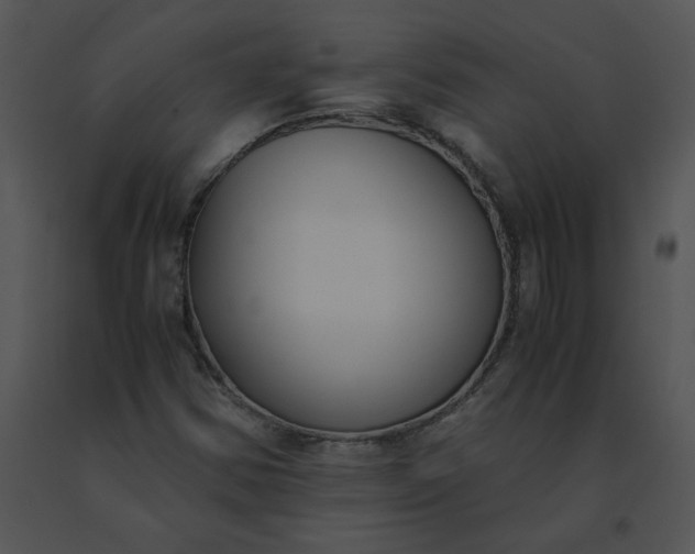X0000091521354200708311239
