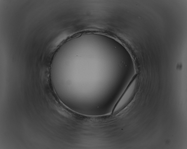X0000091521355200708311239