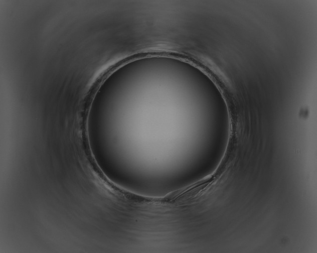 X0000091521356200708311239