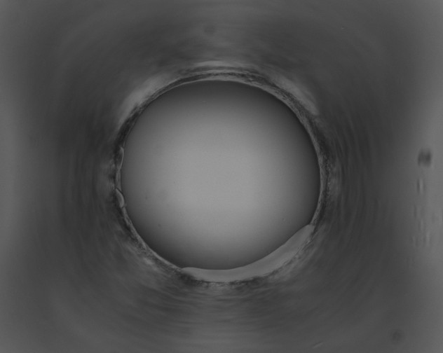 X0000091521357200708311239