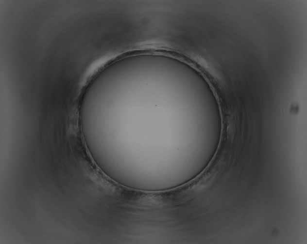 X0000091521358200708311239