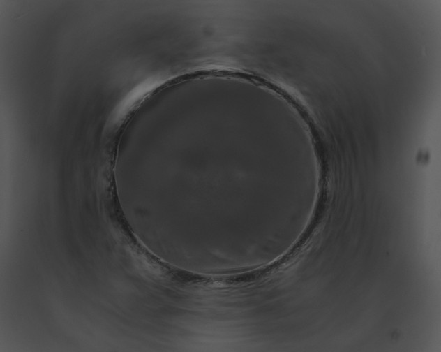 X0000091521359200708311239