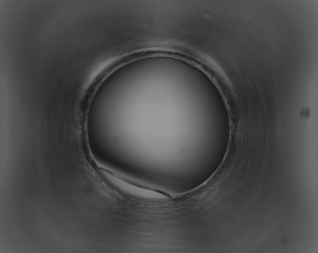 X0000091521360200708311239