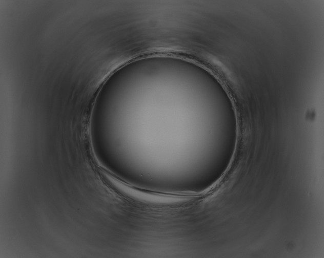 X0000091521361200708311239