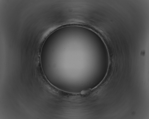 X0000091521363200708311239