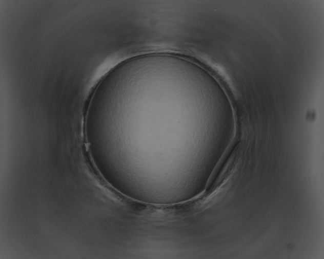 X0000091521365200708311239