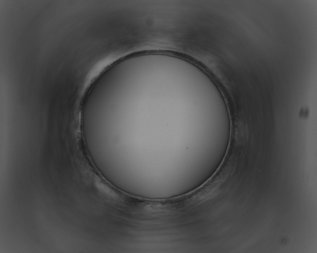 X0000091521366200708311239