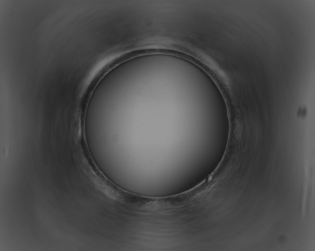 X0000091521368200708311239