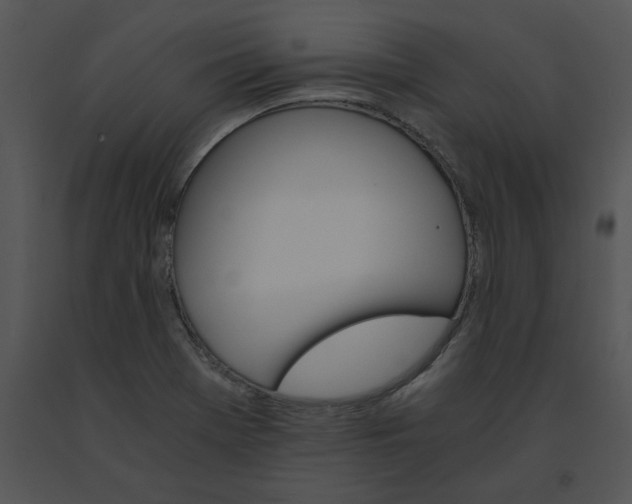 X0000091521369200708311239