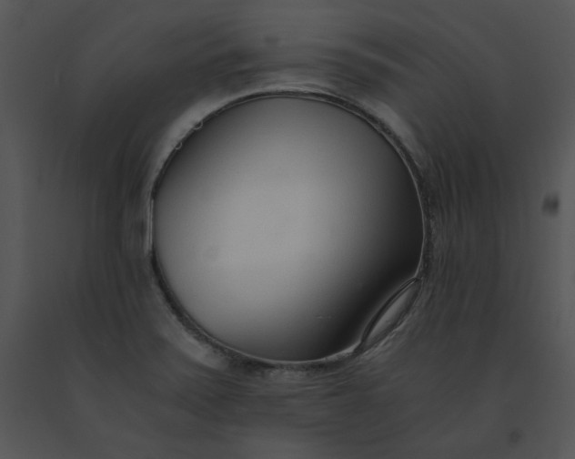 X0000091521371200708311239