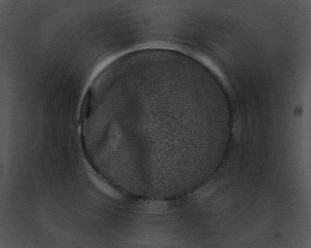 X0000091521372200708311239