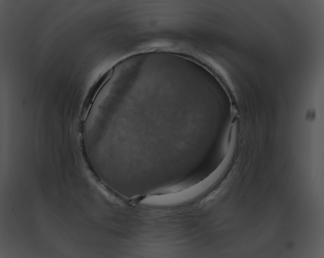 X0000091521373200708311239