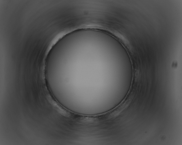 X0000091521374200708311239