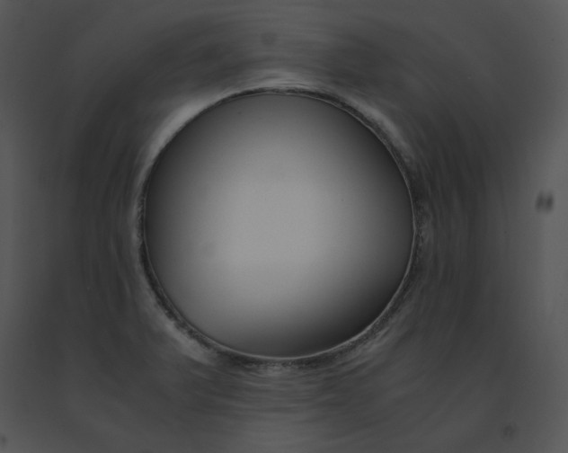 X0000091521375200708311239