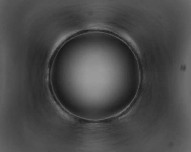 X0000091521376200708311239