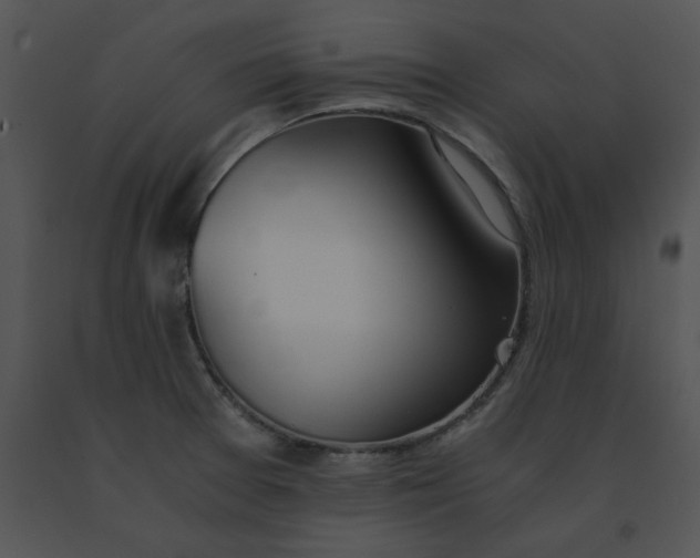 X0000091521377200708311239