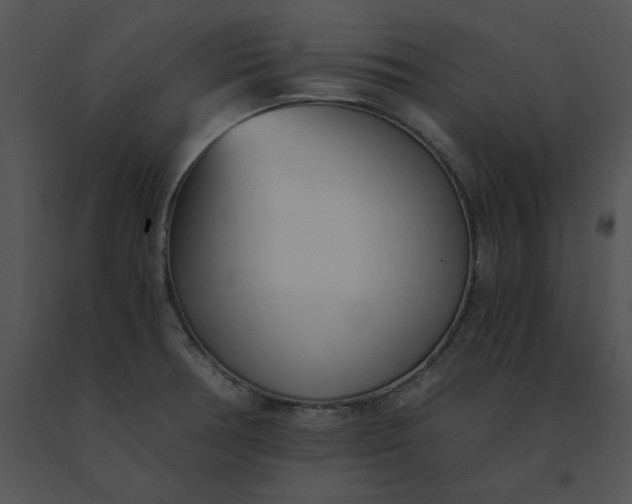 X0000091521378200708311239