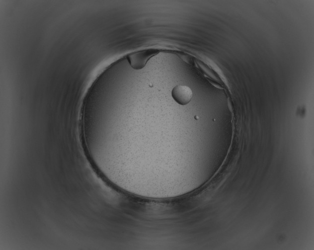 X0000091521379200708311239
